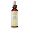 Bach Original Flower Remedies, Gorse - Have Hope - Natural Homeopathic Flower Essence for Emotional Balance - Vegan, Gluten Free, Sugar Free - 20mL Dropper view 1