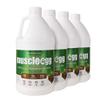 100% MINT BROWNIE Liquid Egg Whites (4 half gallons) view 1