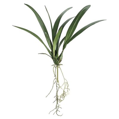 SilksAreForever 24" Hand-Wrapped Silk Oncidium Orchid Leaf Plant Stem -Green (Pack of 12)