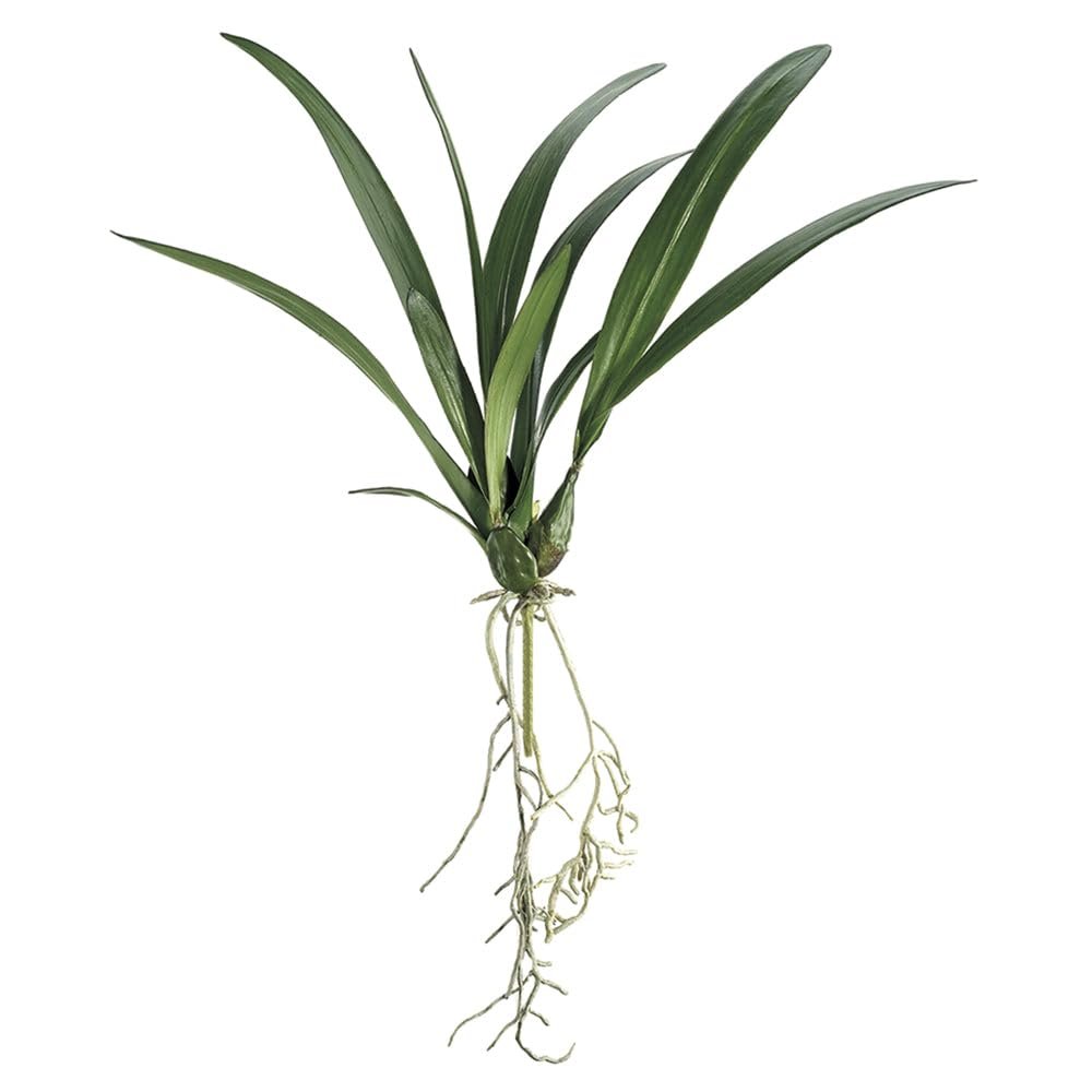 SilksAreForever 24" Hand-Wrapped Silk Oncidium Orchid Leaf Plant Stem -Green (Pack of 12)
