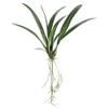 SilksAreForever 24" Hand-Wrapped Silk Oncidium Orchid Leaf Plant Stem -Green (Pack of 12) view 1