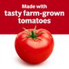 Campbell's Condensed Tomato Soup, 10.75 oz Can (24 Pack) view 4