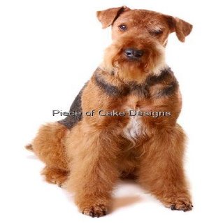 1/8 Sheet ~ Airedale Terrier ~ Dog Breed ~ Edible Cake/Cupcake Topper!!!