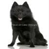 1/8 Sheet ~ Schipperke ~ Dog Breed ~ Edible Cake/Cupcake Topper!!! view 1