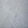 2" Round ~ Real Snow Birthday ~ Edible Cake/Cupcake Topper!!! view 1