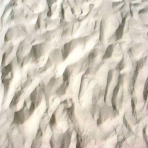 2" Round ~ Real Beach Sand Birthday ~ Edible Cake/Cupcake Topper - D432