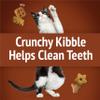 Friskies Party Mix - Wild West Crunch - 2.1 Oz view 4