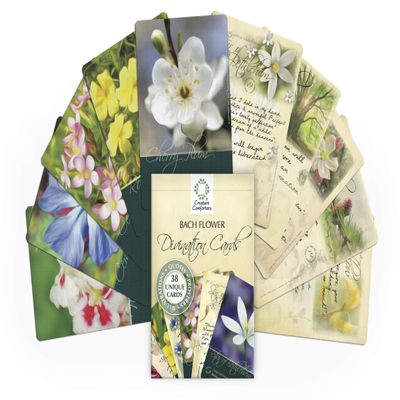 Creature Comforters Bach Flower Divination Cards Pack 38 Beautiful illustrations, proverbs, quotes, affirmations