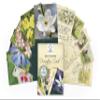 Creature Comforters Bach Flower Divination Cards Pack 38 Beautiful illustrations, proverbs, quotes, affirmations view 1