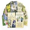 Creature Comforters Bach Flower Divination Cards Pack 38 Beautiful illustrations, proverbs, quotes, affirmations view 4