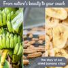 Oh! Nuts Dried Banana Chips - Sweetened Dehydrated Banana Chips - 1 lb - Bulk Bag for Snacking and Baking view 4