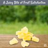 Oh! Nuts Dried Pineapple Chunks - Dried Pineapple - Pineapple Dried Fruit - 1 lb - Dehydrated Fruit with Less Sugar Added view 3