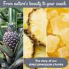 Oh! Nuts Dried Pineapple Chunks - Dried Pineapple - Pineapple Dried Fruit - 1 lb - Dehydrated Fruit with Less Sugar Added view 4