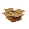 AIPC Ravarino and Freschi Linguine, 10 Pound -- 2 per case. view 1
