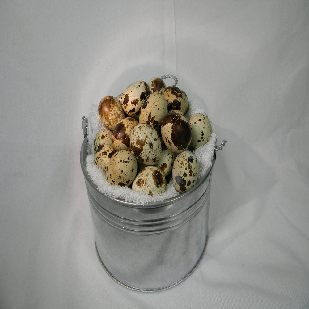 New York State, Natural, Grade A, 4 Trays of 18 Coturnix Quail Eggs (72 Eggs)