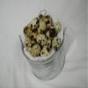 New York State, Natural, Grade A, 4 Trays of 18 Coturnix Quail Eggs (72 Eggs) view 2