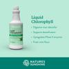 Nature's Sunshine Liquid Chlorophyll Extra Strength - Immunity Support, Detox & Cleanse, Chlorophyll Liquid Drops with Spearmint Oil, Natural Energy Boost, Internal Deodorant - 16 Fl Oz view 3