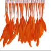 Zucker Feather Products Bleached Stripped Coque Feather, 6 to 8-Inch, Orange view 1