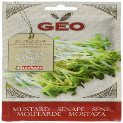 Bavicchi: Mustard Packet (50 Grams) [ Italian Import ]
