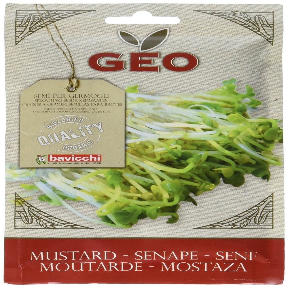 Bavicchi: Mustard Packet (50 Grams) [ Italian Import ]