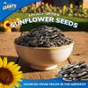 Giants Bacon Ranch Sunflower Seeds Bulk - Flavored Sunflower Seed Snack, Roasted Sunflower Seeds to Eat - 5 oz Resealable Bags (Pack of 12) view 3