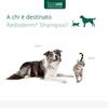 Redoderm Dog Shampoo / gat250ml view 4
