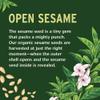 Banyan Botanicals Sesame Oil  Organic & Refined Sesame Oil for Skin, Body, Hair & More  Multiple Sizes  16 oz  Non GMO Sustainably Sourced Vegan view 2