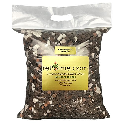 Cattleya Imperial Orchid Mix (Standard Bag)