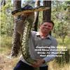 60" Snake Catcher Stick - Rattlesnake Catcher & Grabber view 2