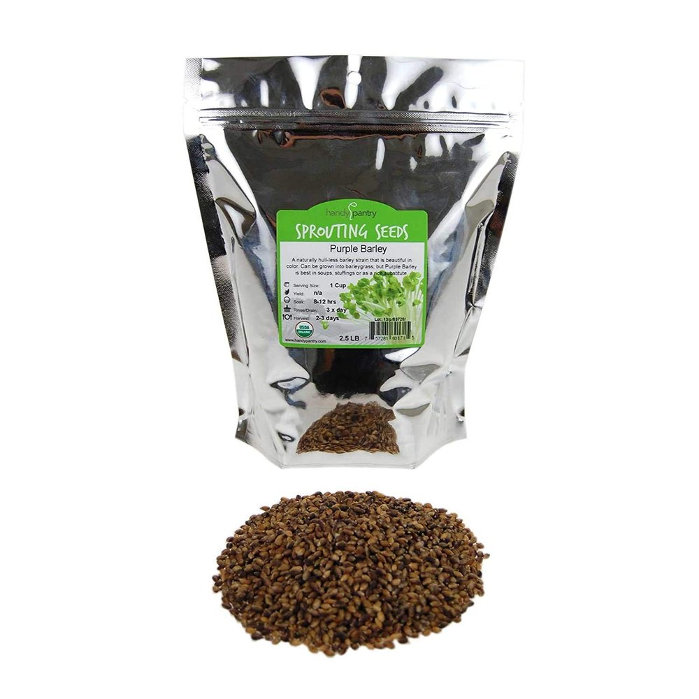Purple Barley Seeds - Certified Organic - 2.5 Lb Pouch - Handy Pantry Brand - Also Called Black Barley - No Hull - for Barleygrass, Grind for Flour, Food Storage, Soups & More