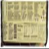 Le Veneziane - Italian Spaghetti [Gluten-Free], 8.8 Ounce (Pack of 4) view 2