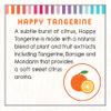 Little Twig Baby Wash, Natural Plant Derived Formula, Tangerine, 8.5 fl oz view 4