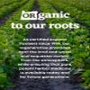 Oregon's Wild Harvest Dandelion Root Organic Supplement | Traditional Herbal Bitter, 90 Vegan Capsules view 4