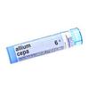 Allium Cepa 6c by BOIRON view 1