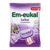 Em-eukal Salbei Zuckerfrei 75 g view 1