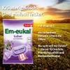 Em-eukal Salbei Zuckerfrei 75 g view 3