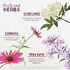 WishGarden Herbs Kick-Ass Immune Activator - Herbal Immune Support Supplement for Adults, Plant-Based Immune Booster & Immune Defense w/Echinacea & Goldenseal, Rapid Immunity Boost Formula, 4oz view 4