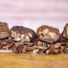 Wockenfuss Candies Pecan Caramel Patties - Milk & Dark - 2lb view 1