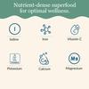 Maine Coast Sea Vegetables Organic Dulse Flakes | Rich in Iodine | Harvested from North Atlantic | Great for Salads, Soup & Smoothies | 1 lb / 454g (Pack of 1) view 4
