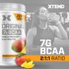 Xtend Original BCAA Powder 7g BCAA and 2.5g L-Glutamine, Sugar Free Post Workout Muscle Recovery Drink with Amino Acids for Men & Women, 30 Servings view 3