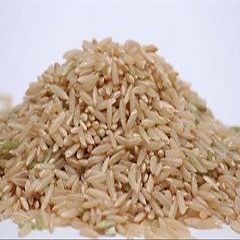 Basmati Brown Rice 50 lbs.