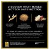 Better Oats Fit Instant, Apple Cinnamon, 9.8 Ounce view 3