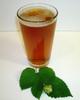 Session Ale view 1