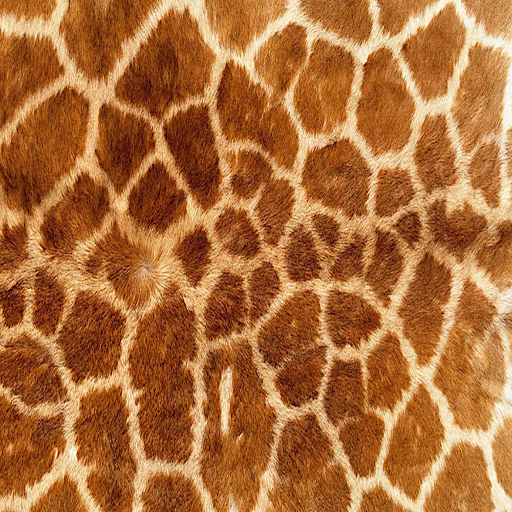 2" Round ~ Real Giraffe Print Birthday ~ Edible Cake/Cupcake Topper!!!