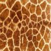 2" Round ~ Real Giraffe Print Birthday ~ Edible Cake/Cupcake Topper!!! view 1