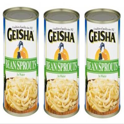 Geisha Canned Bean Sprouts (Pack of 3) 14.5 oz Cans