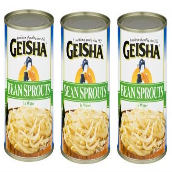 Geisha Canned Bean Sprouts (Pack of 3) 14.5 oz Cans