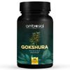 AMBROSIAL Gokshura Tribulus Terrestris High Strength 500 mg per Capsule | Tribulus Terrestris Extract Capsules for Men & Women | Herbal Supplement for Energy & Immunity (Pack of 1-60 Capsules) view 1