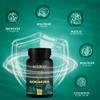 AMBROSIAL Gokshura Tribulus Terrestris High Strength 500 mg per Capsule | Tribulus Terrestris Extract Capsules for Men & Women | Herbal Supplement for Energy & Immunity (Pack of 1-60 Capsules) view 2