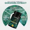 AMBROSIAL Gokshura Tribulus Terrestris High Strength 500 mg per Capsule | Tribulus Terrestris Extract Capsules for Men & Women | Herbal Supplement for Energy & Immunity (Pack of 1-60 Capsules) view 3